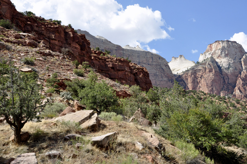 scenery at Zion National Park