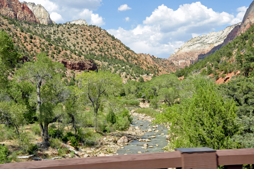 scenery at Zion National Park