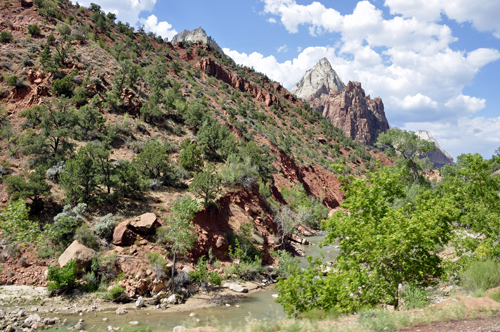 scenery at Zion National Park