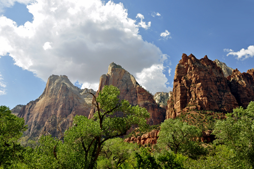 scenery at Zion National Park