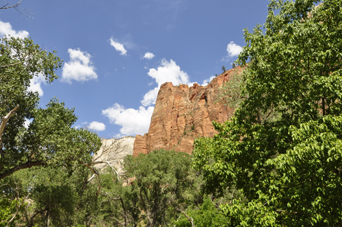 scenery at Zion National Park