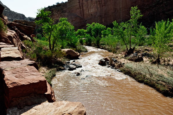 the Freemont River