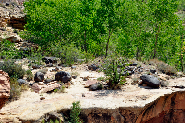 black boulders