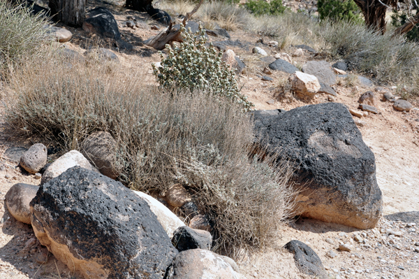 black boulders