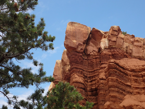 at Capitol Reef National Park