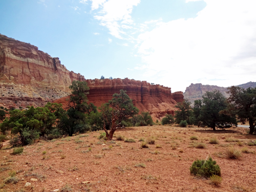 at Capitol Reef National Park