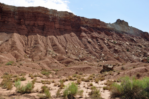 at Capitol Reef National Park