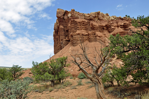 at Capitol Reef National Park