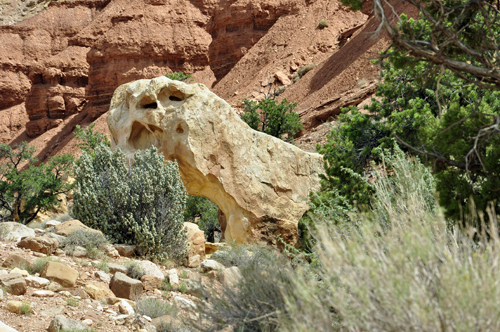 rock that looks like a seals face
