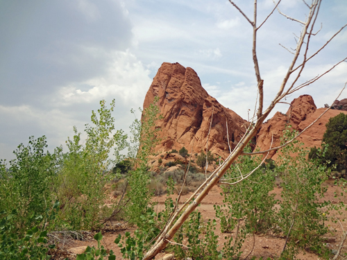 a tough looking butte