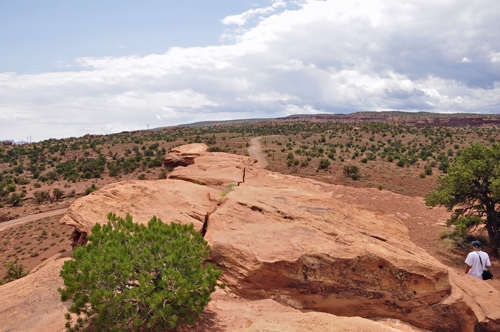 view at Goosenecks Point