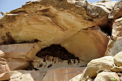 close-ups of different mountain areas