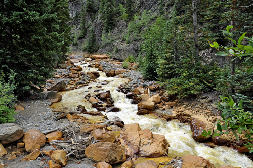 small golden stream