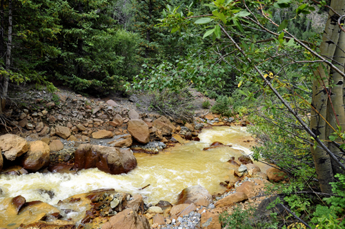 small golden stream