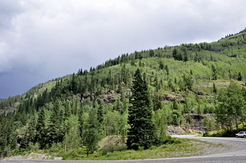 mountain covered in green