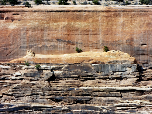 close-up view from Upper Ute Canyon overlook in Colorado National Monument