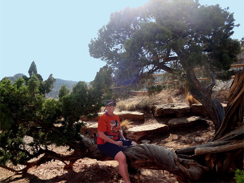 Karen Duquette sitting on a tree limb at Artists Point