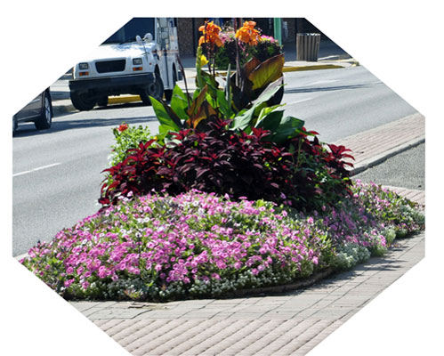 flowers in the ceenter of the road in Delta, Colorad