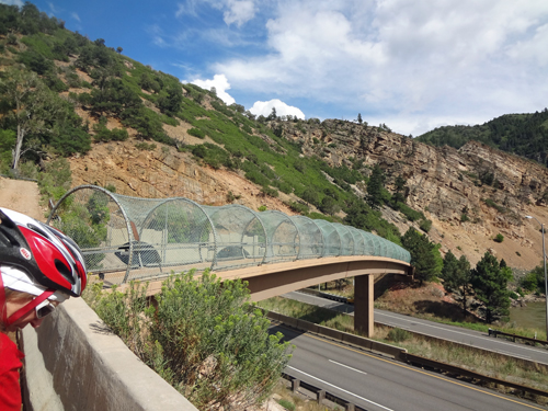 the bicycle / pedestrian bridge