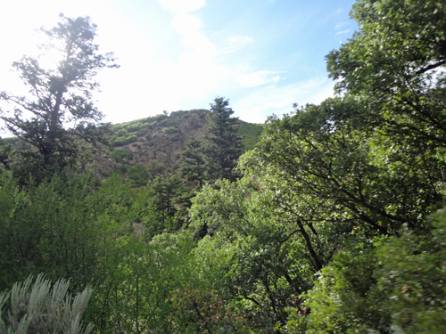 scenery in Colorado