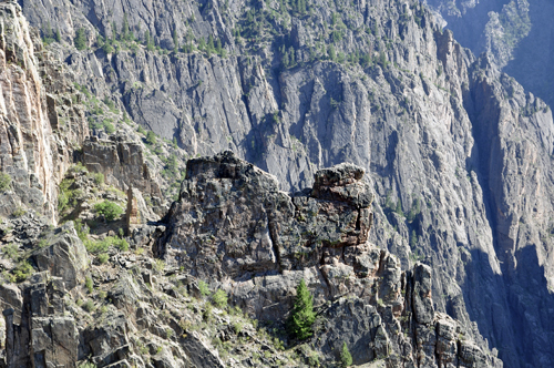 Kneeling Camel at Black Canyon National Park