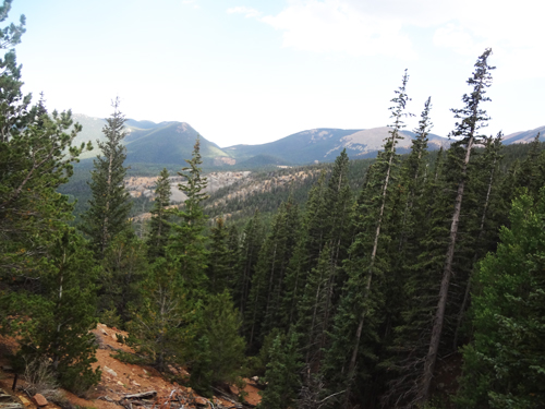 trees nearing the bottom of Pikes Peak