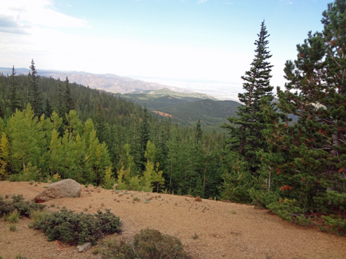 trees nearing the bottom of Pikes Peak