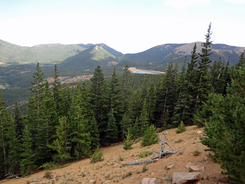 trees nearing the bottom of Pikes Peak