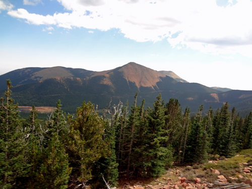 trees nearing the bottom of Pikes Peak