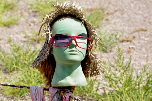 a green head in the healing garden