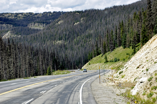 curvy road in Colorado