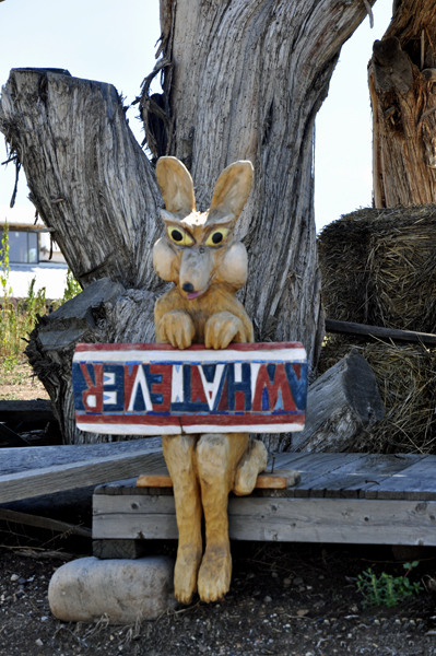 Willie Coyote and an upside-down whatever sign