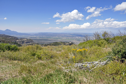 view of the valley from the bottom of Park Point Overlook