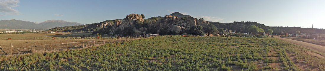 panorama of cow field, mountains