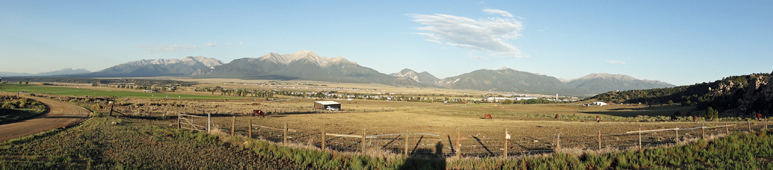 panorama of cow field, mountains