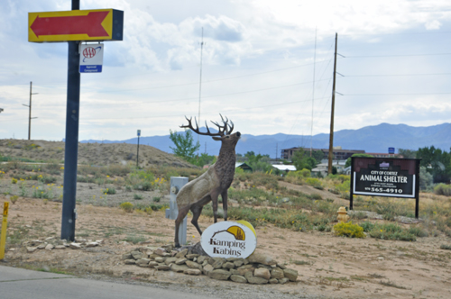 deer outside KOA entry