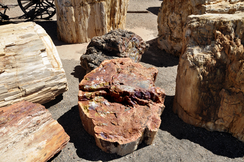 pieces of Geronimo - World's Largest Petrified Tree