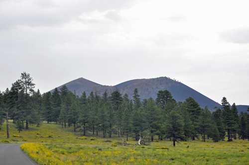 first view in Sunset Crater Volcano National Monument