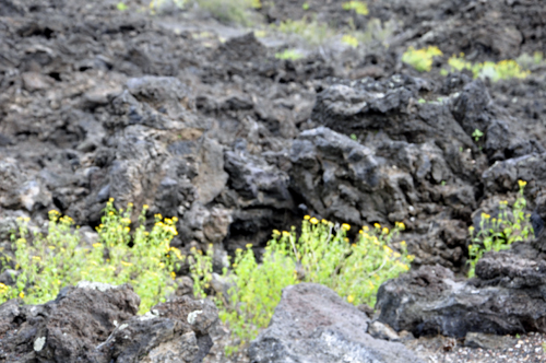 volcanic rock