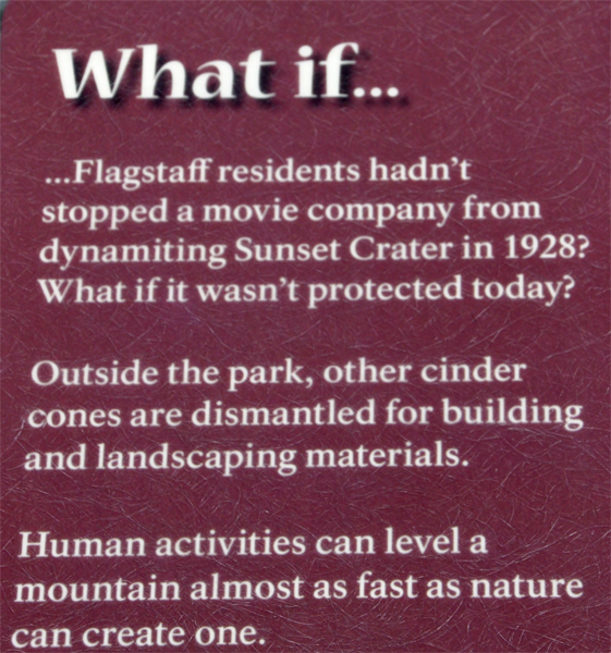 sign: what if