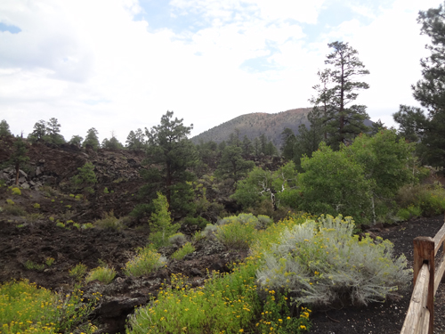 Sunset Crater can be seen from the lava flow