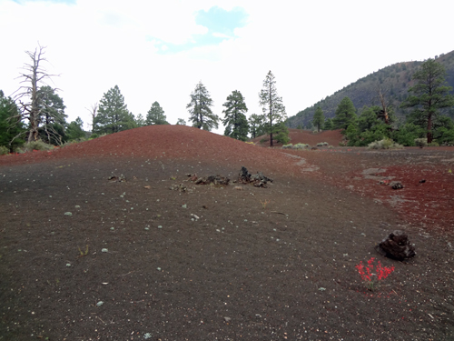 volcanic rock on The Lava Flow Trail