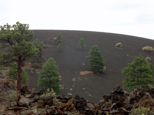 Sunset Crater's lava and cinders