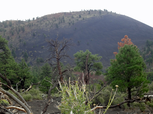 Sunset Crater's lava and cinders