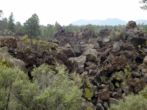 lava rock The Lava Flow Trail