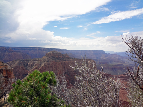 view of the Grand Canyon from Lipan Point