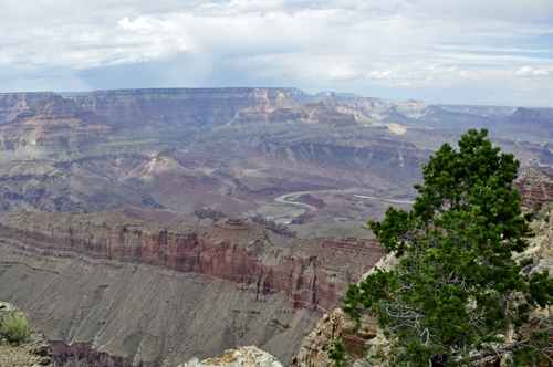 view of the Grand Canyon from Lipan Point