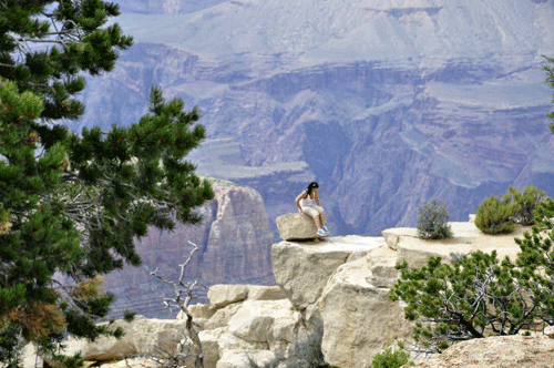 view of the Grand Canyon from Moran Point