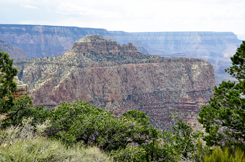 view of the Grand Canyon from Moran Point