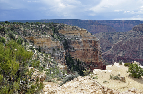 view of the Grand Canyon from Moran Point